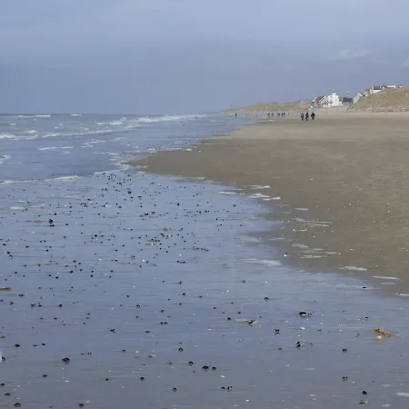 Entre Sable Et Ocean, Avec Vue